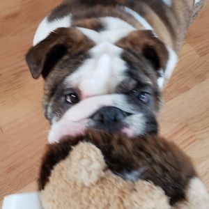 Meet your Posher, Brett